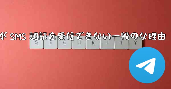 Paper Plane が SMS 認証を受信できない一般のな理由