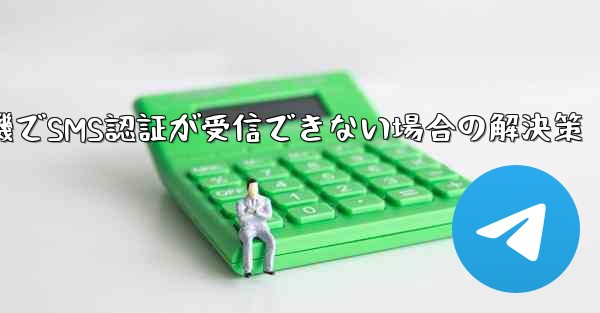 紙飛行機でSMS認証が受信できない場合の解決策