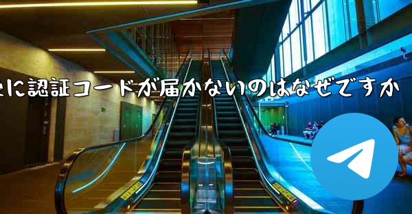 紙飛行機テレジェラムに登録した後に認証コードが届かないのはなぜですか
