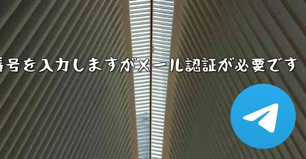 <b>紙飛行機は携帯電話番号を入力しますがメール認証が必要です</b>