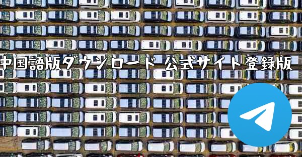 Paper Plane 中国語版ダウンロード 公式サイト登録版