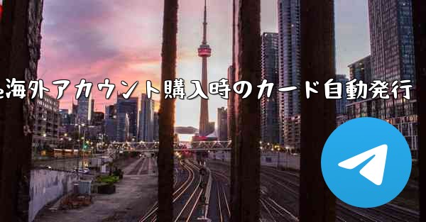 Paper Plane海外アカウント購入時のカード自動発行