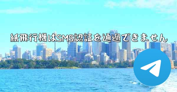 紙飛行機はSMS認証を通過できません