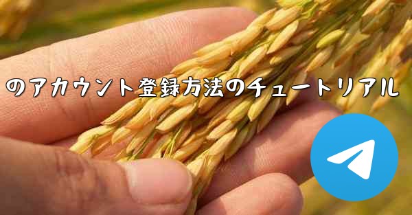 Paper Plane Apple のアカウント登録方法のチュートリアル