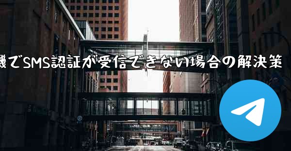 紙飛行機でSMS認証が受信できない場合の解決策