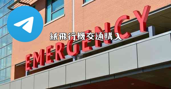 紙飛行機交通購入