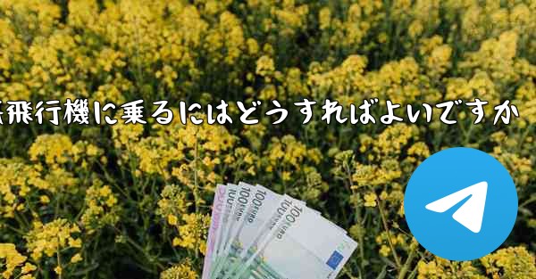 認証コードを受け取らずに紙飛行機に乗るにはどうすればよいですか