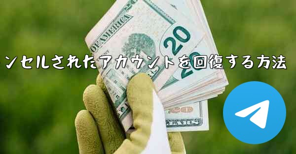 Paper Planeのキャンセルされたアカウントを回復する方法