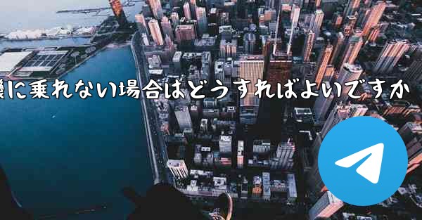 テキストメッセージを受信できない場合や紙飛行機に乗れない場合はどうすればよいですか