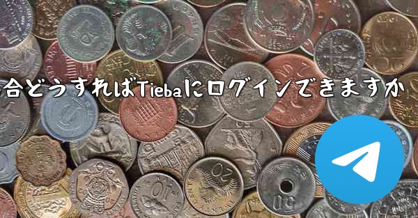 Paper Planeにログインする際に認証コードが届かない場合どうすればTiebaにログインできますか