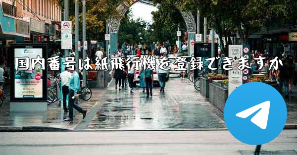 国内番号は紙飛行機を登録できますか
