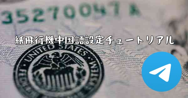 紙飛行機中国語設定チュートリアル