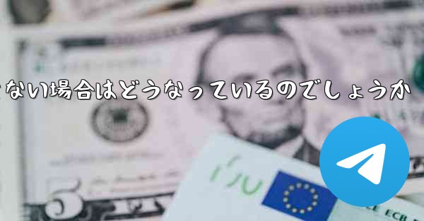 Paper Plane が SMS 認証コードを受信できない場合はどうなっているのでしょうか