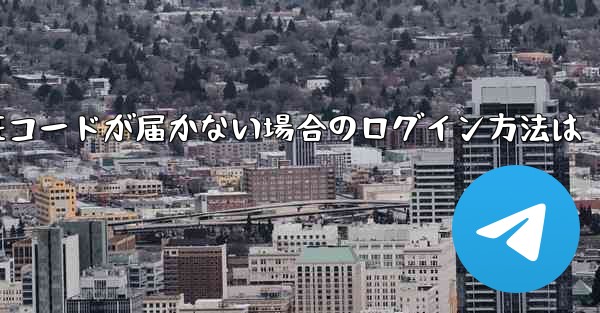 紙飛行機の国内番号で認証コードが届かない場合のログイン方法は