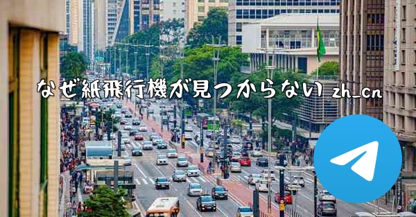 なぜ紙飛行機が見つからない zh_cn