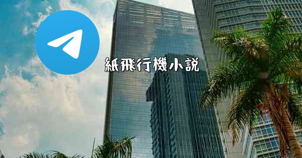 紙飛行機小説