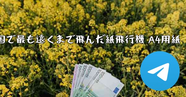 中国で最も遠くまで飛んだ紙飛行機 A4用紙