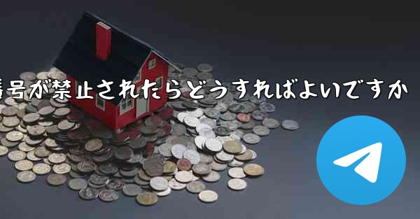 私の紙飛行機の番号が禁止されたらどうすればよいですか