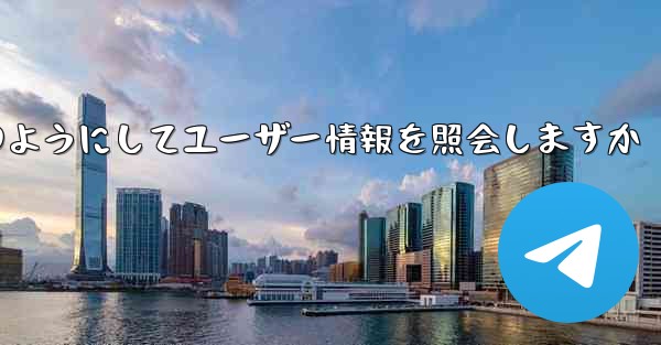 Paper Plane はどのようにしてユーザー情報を照会しますか