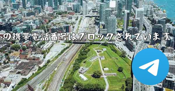 Paper Planeの携帯電話番号はブロックされています