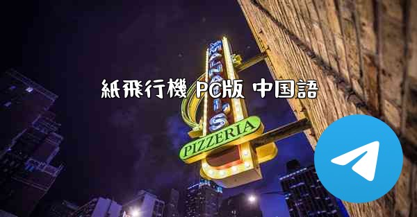 紙飛行機 PC版 中国語