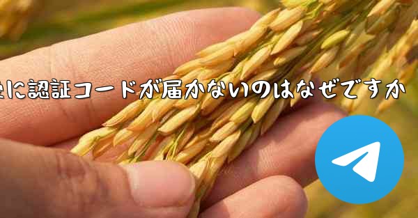 紙飛行機テレジェラムに登録した後に認証コードが届かないのはなぜですか