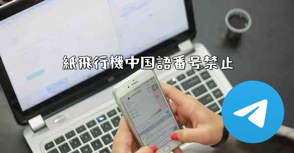 紙飛行機中国語番号禁止