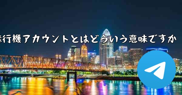 紙飛行機アカウントとはどういう意味ですか