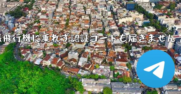 紙飛行機に乗れず認証コードも届きません