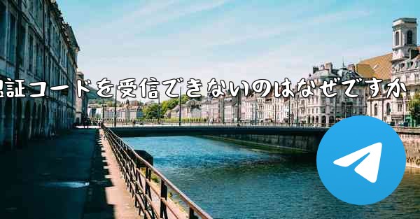 Paper Plane が認証コードを受信できないのはなぜですか