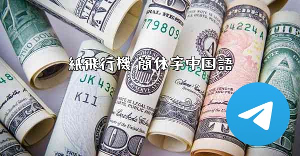 紙飛行機 簡体字中国語