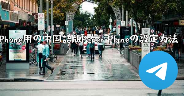 iPhone用の中国語版Paper Planeの設定方法