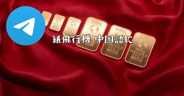 紙飛行機 中国語に