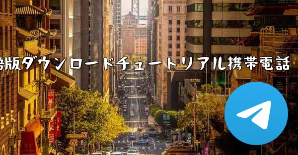 シンプルな飛行機中国語版ダウンロードチュートリアル携帯電話