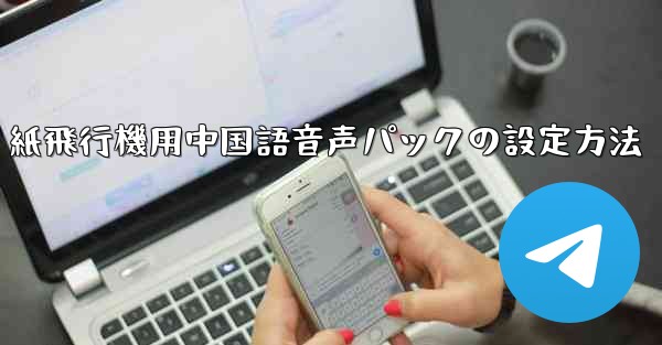 紙飛行機用中国語音声パックの設定方法