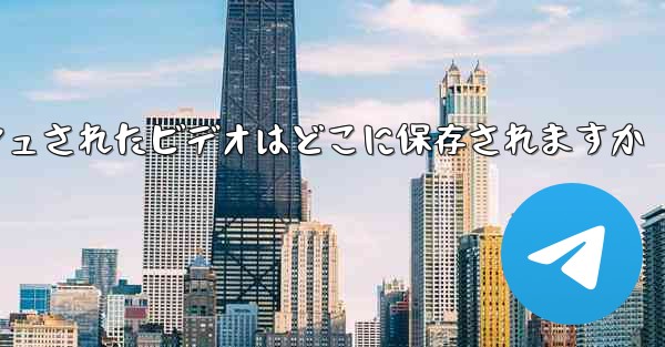 Paper Plane のキャッシュされたビデオはどこに保存されますか