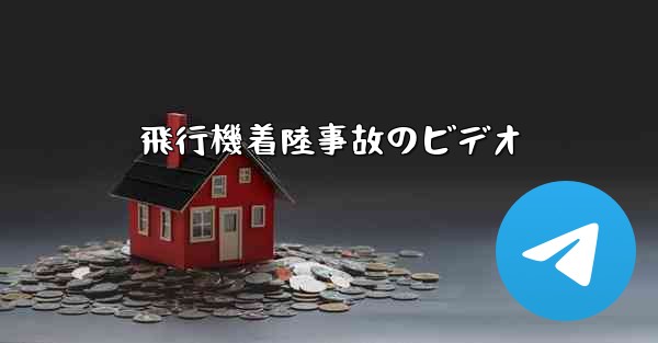 飛行機着陸事故のビデオ