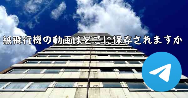 紙飛行機の動画はどこに保存されますか