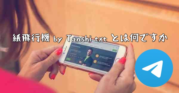 紙飛行機 by Tanshi txt とは何ですか