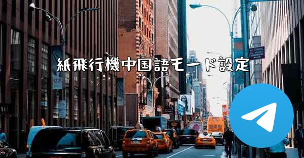 紙飛行機中国語モード設定