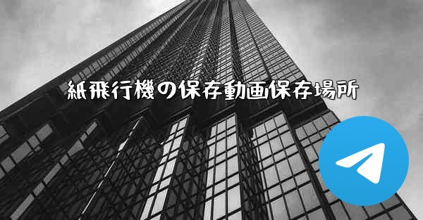 紙飛行機の保存動画保存場所