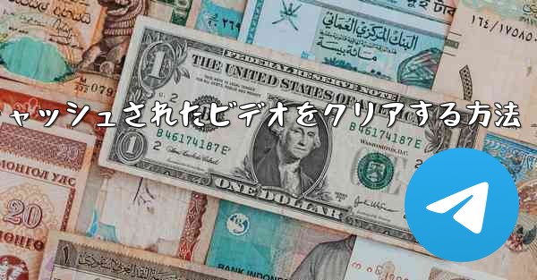 紙飛行機でキャッシュされたビデオをクリアする方法