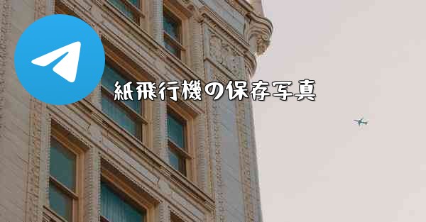 紙飛行機の保存写真