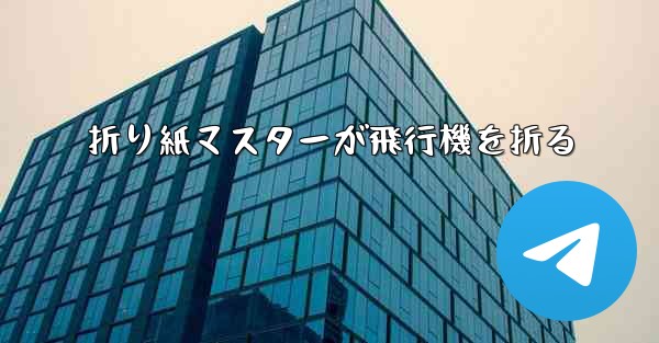 折り紙マスターが飛行機を折る
