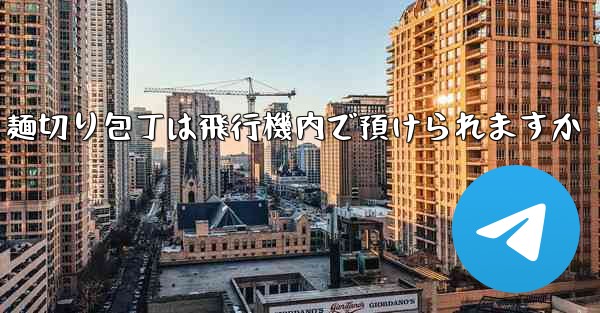 麺切り包丁は飛行機内で預けられますか