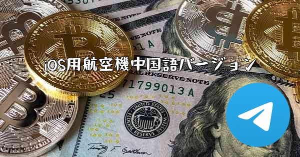 iOS用航空機中国語バージョン