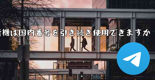 紙飛行機は国内番号を引き続き使用できますか