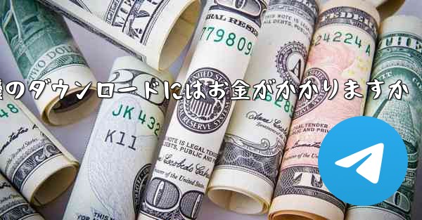 飛行機のダウンロードにはお金がかかりますか