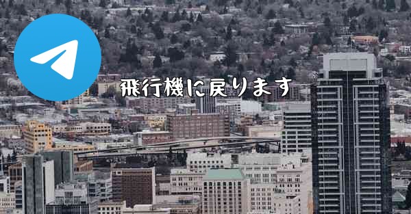 飛行機に戻ります