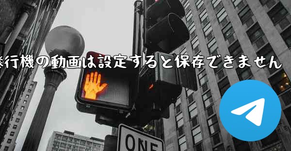 紙飛行機の動画は設定すると保存できません